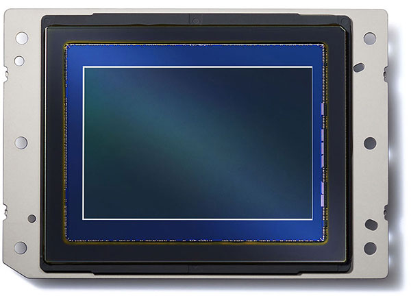 D850 Overview image 7