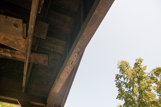 Nikon D850 Review -- Field Test Gallery Image