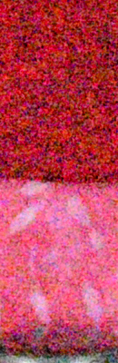 Df High ISO Noise Reduction image 101