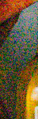 Df High ISO Noise Reduction image 105