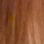 J5 Exposure image 29