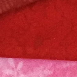 100% crop from Nikon J5 test image taken at ISO 1600