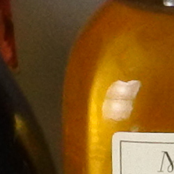 100% crop from Nikon J5 test image taken at ISO 1600