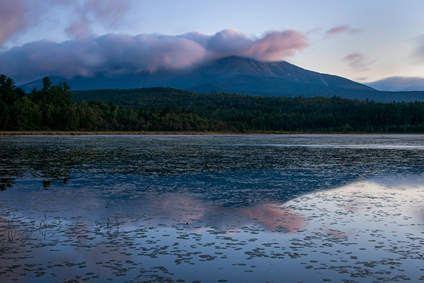 Nikon J5 Field Test -- Gallery Image