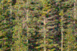 Nikon J5 Field Test -- Noise Test Image
