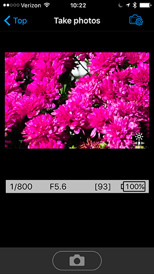 Nikon J5 Field Test -- WMU Screenshot