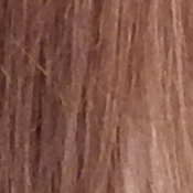 Coolpix P900 Exposure image 10