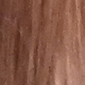 Coolpix P900 Exposure image 13