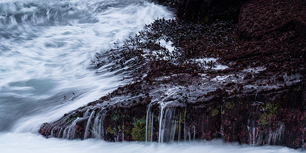 Nikon Z6 II Review: Field Test -- Gallery Image