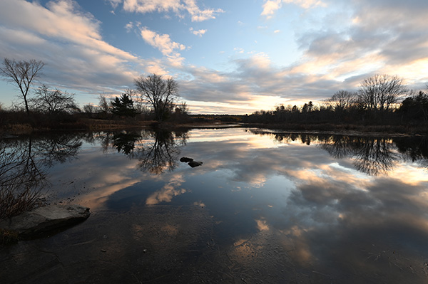 Nikon Z6 II Review: Field Test -- Gallery Image