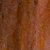 Z6 Exposure image 36