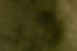 100% crop of shadow area in ACR converted ISO 100 NEF file with +3.0 EV exposure