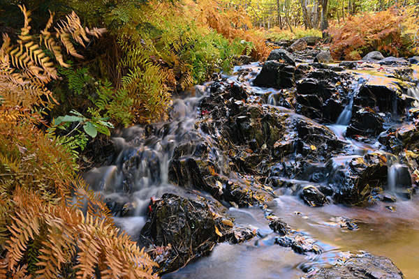 Nikon Z7 Review: Field Test -- Gallery Image