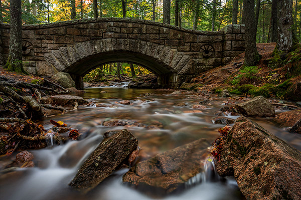 Nikon Z7 Review: Field Test -- Gallery Image