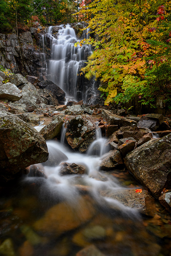 Nikon Z7 Review: Field Test -- Gallery Image