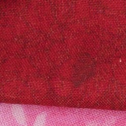 Z7 Exposure image 24