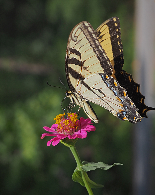 Olympus E-M10 II Review - sample image