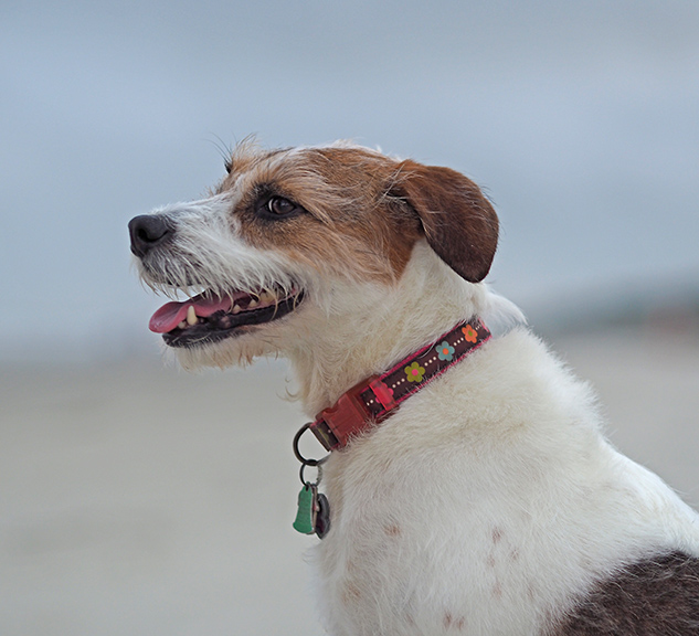Olympus E-M10 II Review - Sample Image