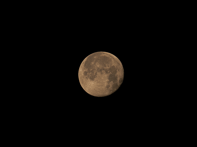 Olympus E-M1X Sample Image