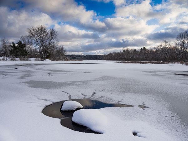 Olympus E-M1X Review: Field Test -- Gallery Image