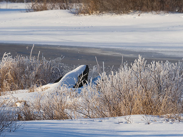 Olympus E-M1X Review: Field Test -- Gallery Image