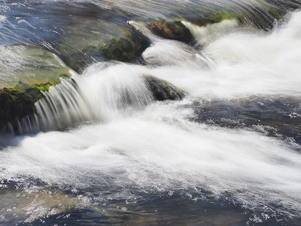 Olympus E-M1X Review: Field Test -- Gallery Image