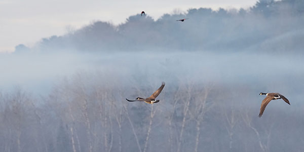 Olympus E-M1X Review: Field Test -- Gallery Image