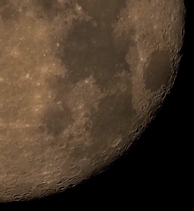 Olympus E-M1X Sample Image