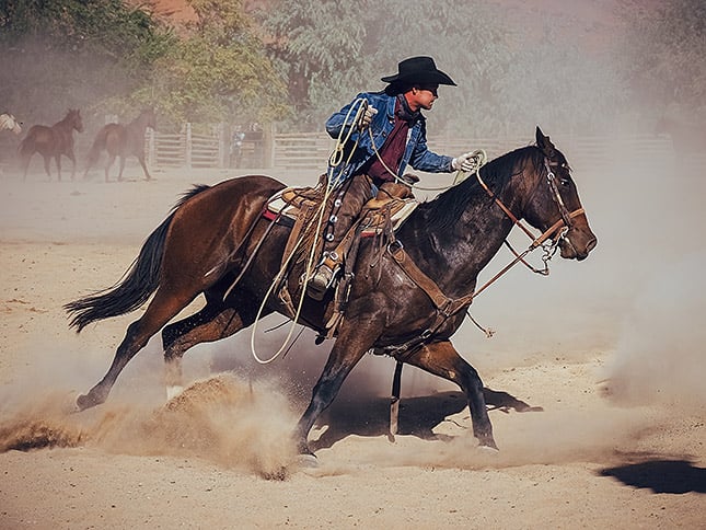 OM-D E-M5 III Field Test image 18