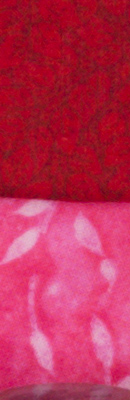 PEN E-PL5 RAW Files image 7