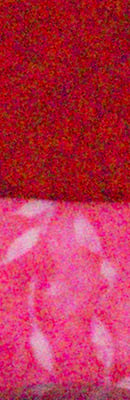 PEN E-PL5 RAW Files image 67