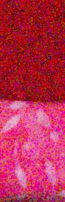 PEN E-PL5 RAW Files image 79