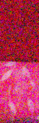 PEN E-PL5 RAW Files image 91