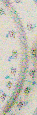 PEN E-PL5 RAW Files image 95