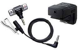 mic