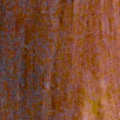 PEN E-PM2 Exposure image 28