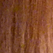 PEN-F Exposure image 35