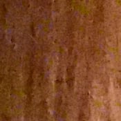 PEN-F Exposure image 36