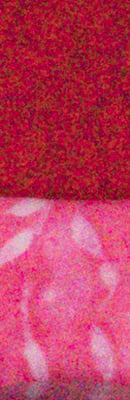 PEN-F High ISO Noise Reduction image 57