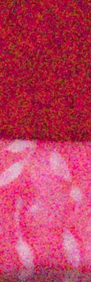 PEN-F High ISO Noise Reduction image 66