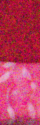 PEN-F High ISO Noise Reduction image 75