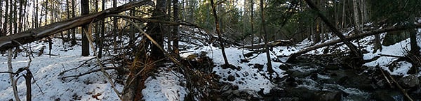 Panasonic FZ300 Field Test -- Gallery Image