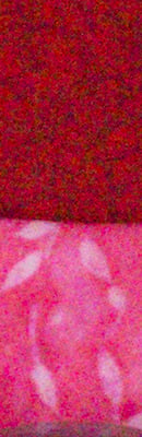 PEN E-PL5 RAW Files image 57