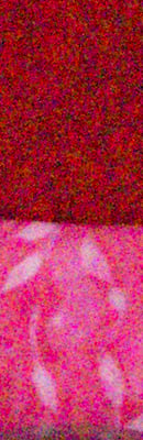 PEN E-PL5 RAW Files image 69