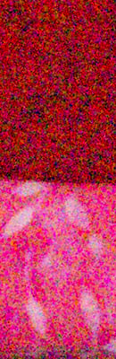 PEN E-PL5 RAW Files image 81