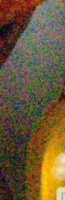 PEN E-PL5 RAW Files image 85