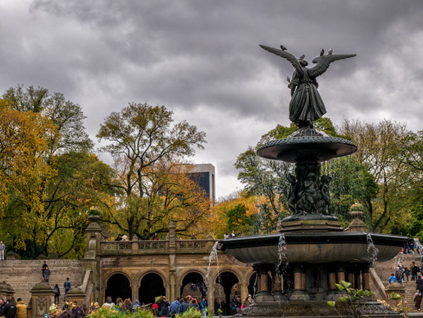 Panasonic G85 Review: Field Test -- Gallery Image