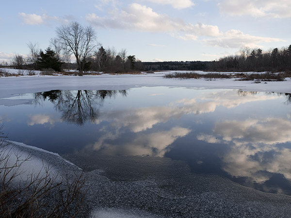 Panasonic G9 Review: Field Test -- Gallery Image