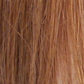GH3 Exposure image 23
