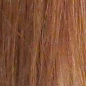 GH3 Exposure image 28